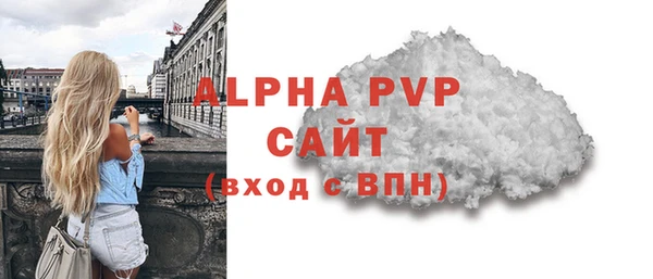 PSILOCYBIN Белокуриха