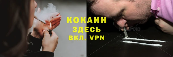 спайс Богданович