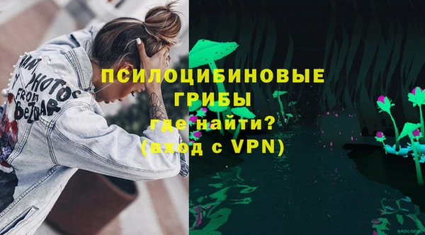 эйфоретик Богородицк