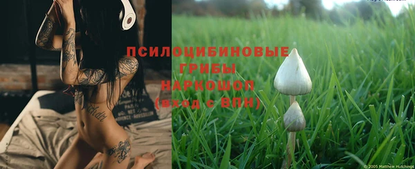 твердый Беломорск